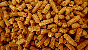 Holz, Pellets - Pfütze GmbH